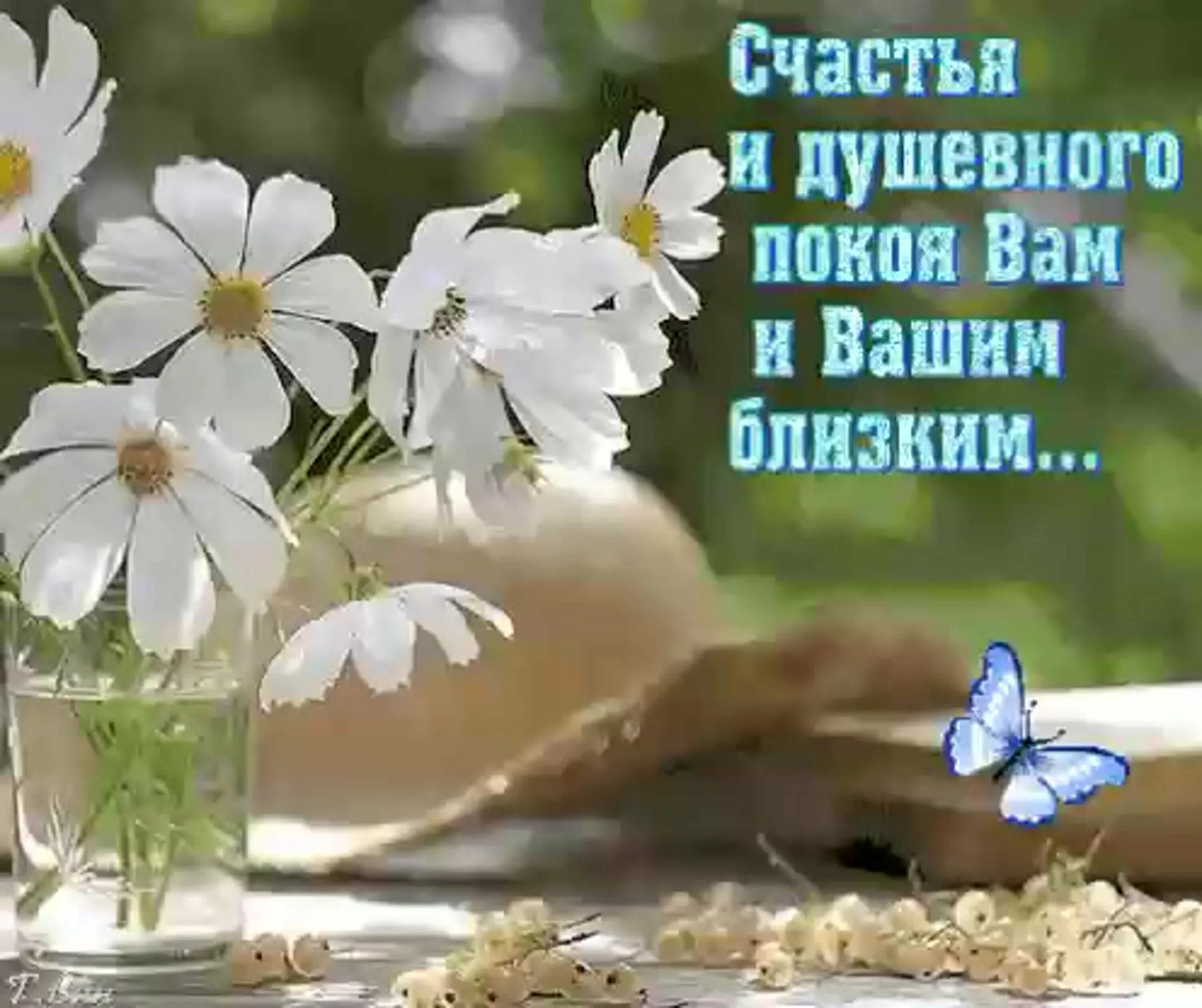 Картинки доброго мирного утра красивые с пожеланиями Картинки здоровья вам - Картинки пожеланий Будьте здоровы! (90 фото) modawomen.r