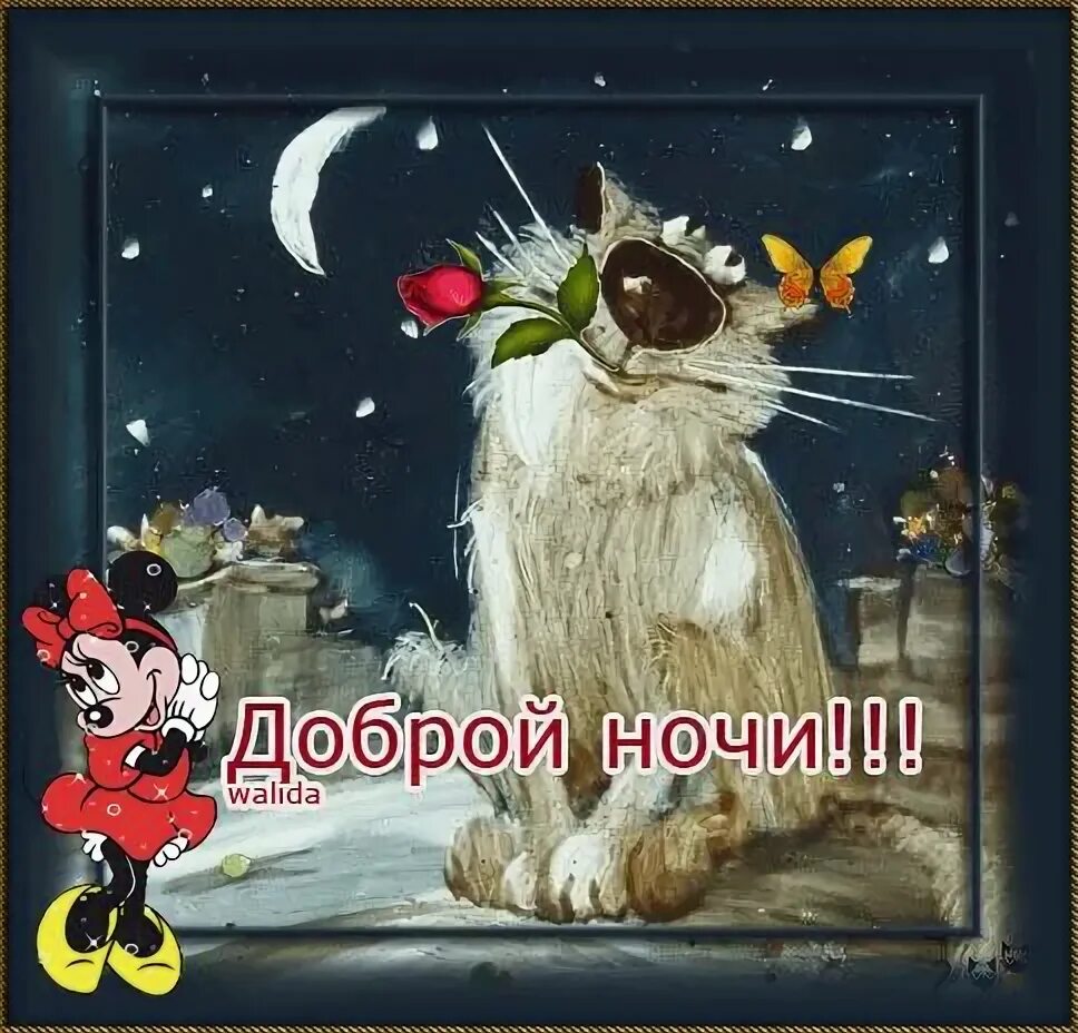 Картинки доброго ночи прикольные смешные вечера Pin auf Доброй ночи