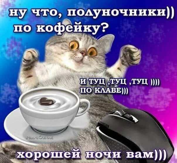 Картинки доброго ночи прикольные смешные вечера Пин на доске Открытки