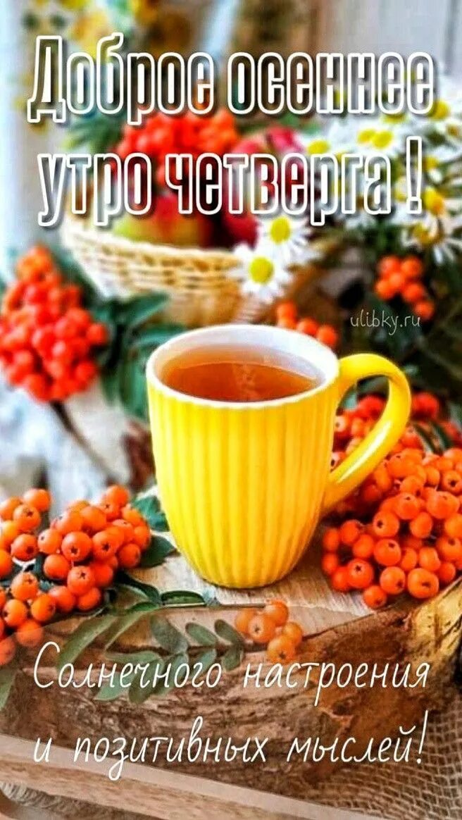 Картинки доброго утра четверга осенние красивые новые Пин от пользователя Sauvage Ange на доске Пожелания Осень, Утро четверга, Четвер