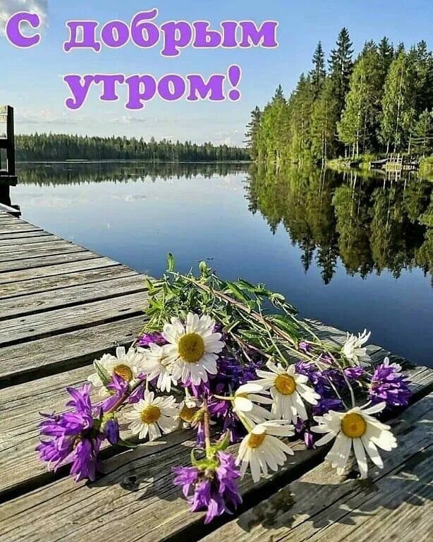 Картинки доброго утра красивые женщине с природой Instagram post by Сычева Любовь * Aug 29, 2021 at 4:48am UTC Доброе утро, Бумажн