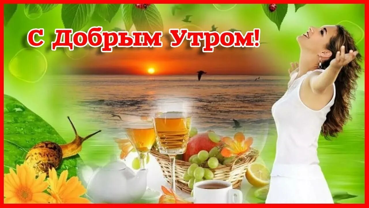 Картинки доброго утра красивые женщине с природой Утро наступило, прекрасная пора. С Добрым утром, милая подруженька моя! - YouTub