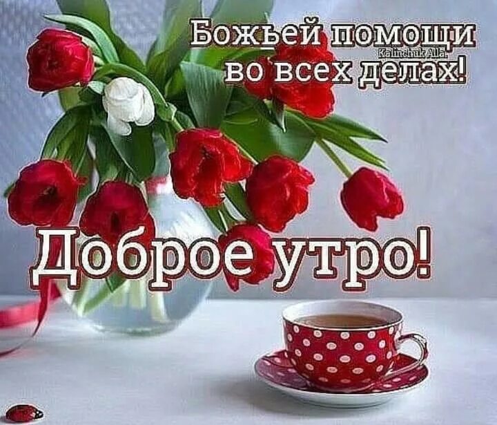 Картинки доброго утра крепкого Пин от пользователя Татьяна Жукова на доске утро доброе Христианские картинки, У