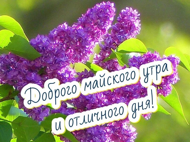 Картинки доброго утра мая с пожеланиями Доброе утро ❤ 2023 СЛС стань лучше себя ВКонтакте