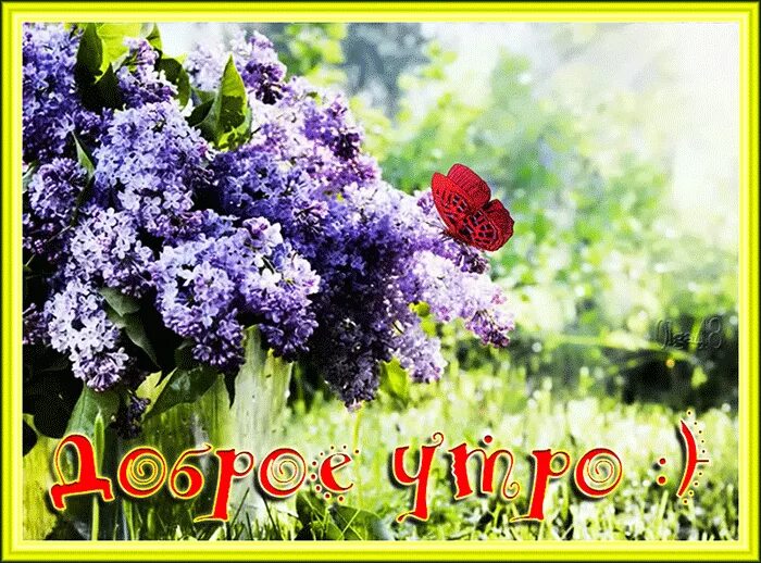 Картинки доброго утра мая с пожеланиями Доброе утро ! Утренний стол - Мир картинок анимаций