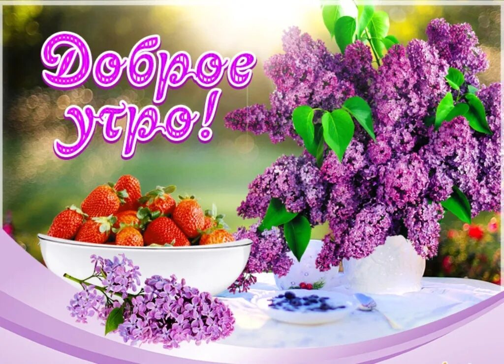 Картинки доброго утра мая с пожеланиями Открытки весенние с добрым утром красивые пожеланиями - найдено 81 картинок