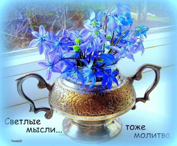 Картинки доброго утра мира и добра красивые Light thoughts are also prayers, The lines and rhymes of the winged river, Write