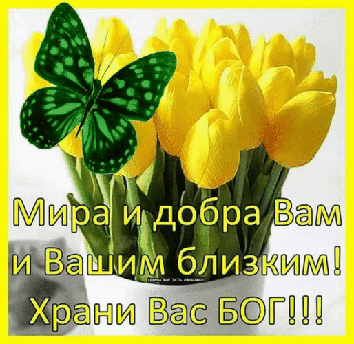 Картинки доброго утра мира и добра красивые Мира и добра Вам и Вашим близким! Храни Вас Бог! Христианские картинки, Христиан