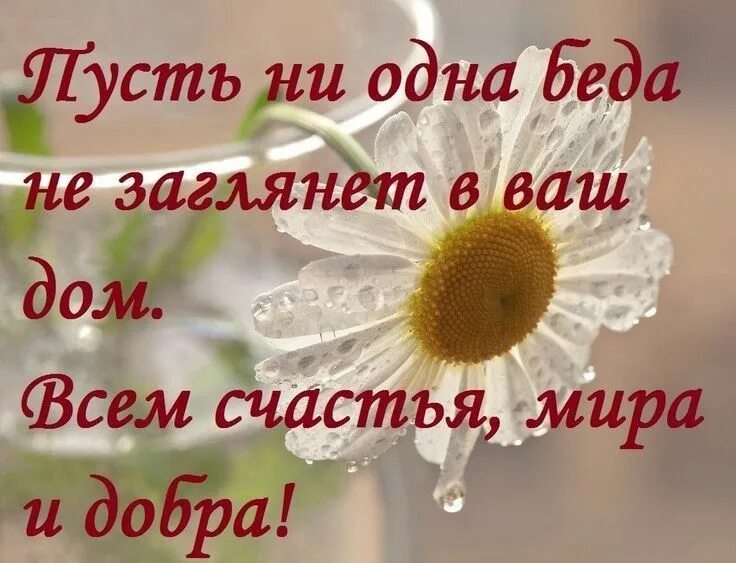 Картинки доброго утра мира и добра красивые Пин от пользователя Юля Климачева на доске Друзьям Вдохновляющие цитаты, Вдохнов