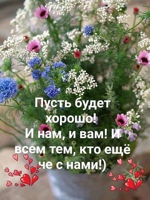Картинки доброго утра мира и добра красивые Пин на доске Пожелания Утренние цитаты, Веселые картинки, Морской венок