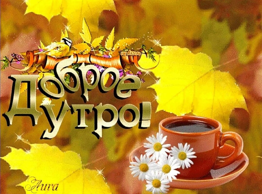 Картинки доброго утра осенние позитивные и здоровья Картинки ОТКРЫТКА С ОСЕННИМ ДОБРЫМ УТРОМ И ХОРОШИМ