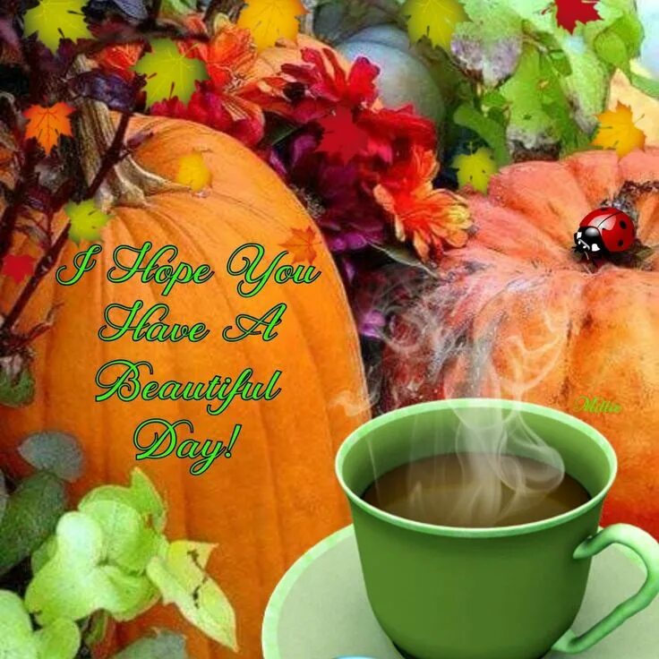 Картинки доброго утра осенние позитивные и здоровья Pin on Fall & Thanksgiving Good morning greeting cards, Good morning picture, Go