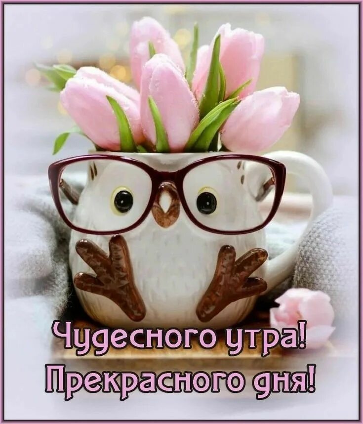 Картинки доброго утра прикольные женщине необычные Pin by Olnik on ВЕСНА - утро/день in 2024 Good morning, Illustration, Mugs