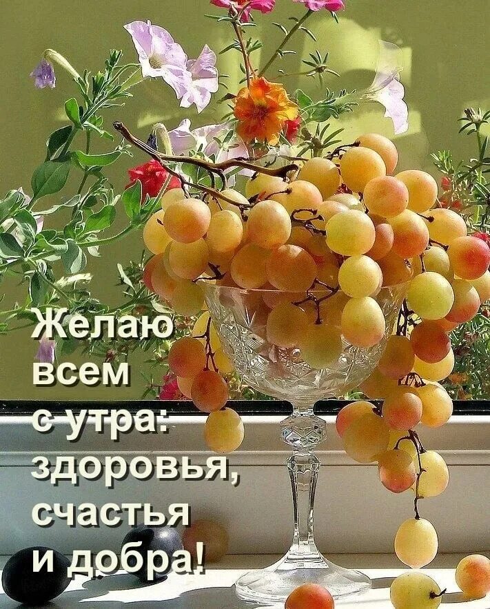 Картинки доброго утра с фруктами и пожеланиями Доброе утро!!! Всем мира, добра и хороших новостей!!! 2023 Дебальцево ДНР (Офици