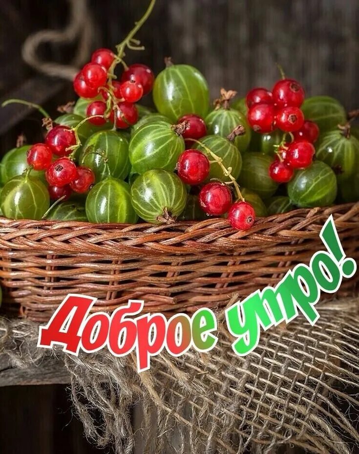 Картинки доброго утра с фруктами и пожеланиями Пин от пользователя Наталья Савкина на доске Доброе утро в 2020 г Доброе утро