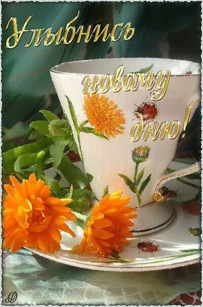 Картинки доброго утра счастья добра Pin on Доброе утро Heart wallpaper, Good morning gif, Good morning
