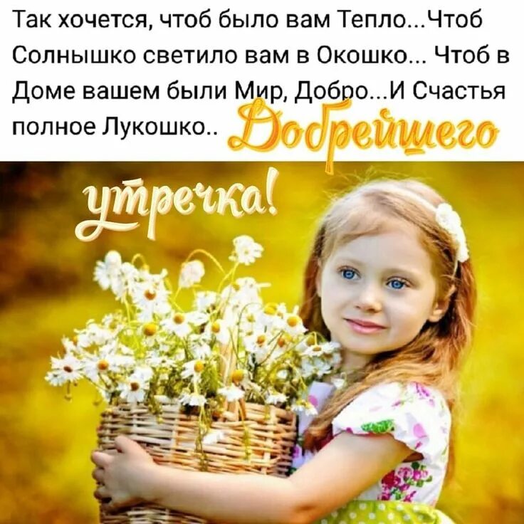 Картинки доброго утра счастья добра Пин на доске открытка Доброе утро, Утренние цитаты, Детский юмор