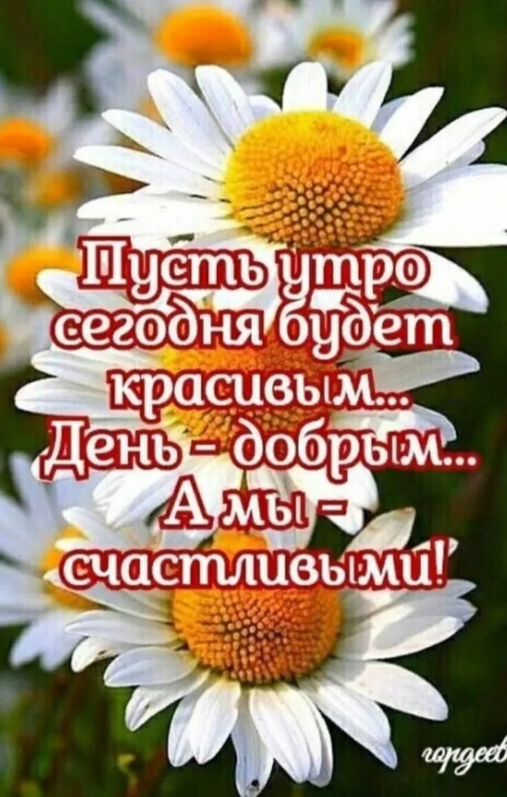 Картинки доброго утра счастья добра Пин от пользователя Galina на доске Быстрое сохранение в 2023 г Милые открытки, 