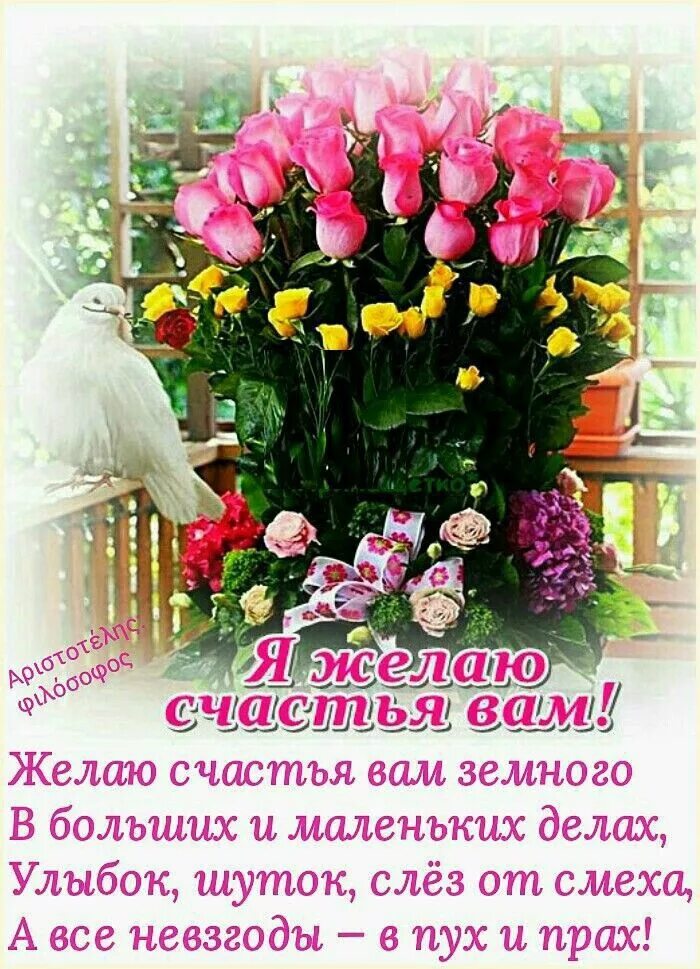 Картинки доброго утра счастья добра Пин на доске Доброе утро Свадебные поздравления, Праздничные открытки, Дни рожде
