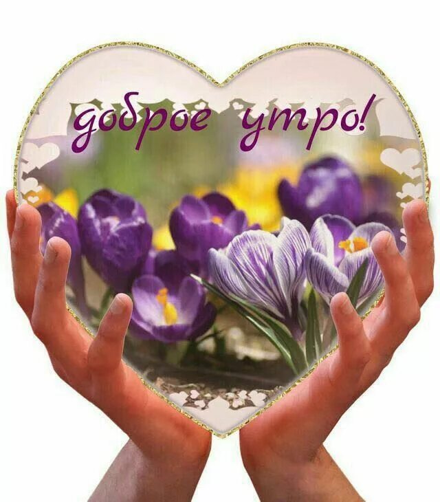 Картинки доброго утра счастья добра Pin su Поздравительные Buongiorno immagini, Buongiorno, Immagini