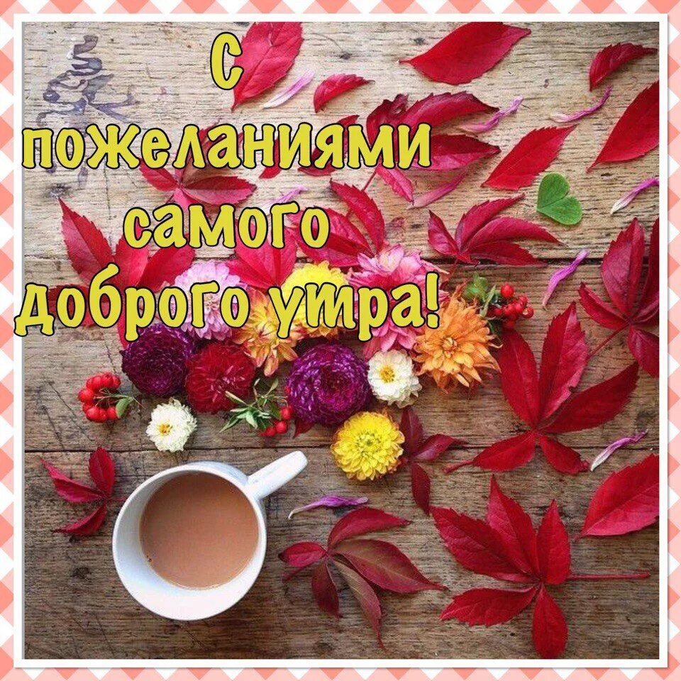Картинки доброго утра здоровья хорошего дня осенние Хорошее настроение с утра обещает приятную мелодию дня. Доброе утро, Картинки, В