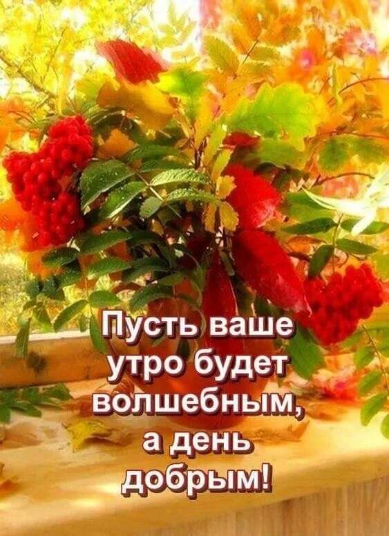 Картинки доброго утра здоровья хорошего дня осенние ТЕБЕ ОТКРЫТОЧКА!!!!! ВКонтакте Доброе утро, Праздничные открытки, Осенние картин