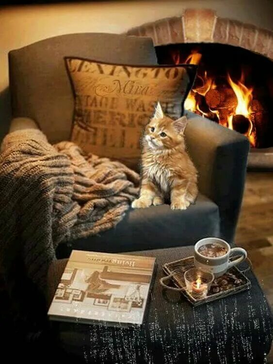 Картинки доброго уютного спокойного вечера Уютного вечера Dieren mooi, Dieren, Winter