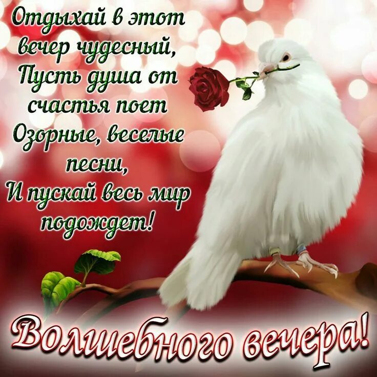 Картинки доброго вечера добра и счастья Пин от пользователя Евгения Федосеева на доске Доброе утро Картинки, Открытки, П