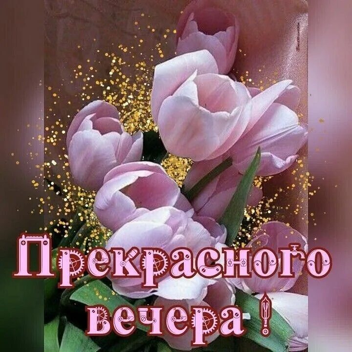 Картинки доброго вечера и отличного настроения женщине Pin en ДОБРЫЙ ВЕЧЕР ,СПОКОЙНОЙ НОЧИ