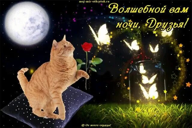 Картинки доброго вечера и спокойной ночи прикольные Пин от пользователя Валентина Лютвинская на доске спокойной ночи Ночь, Галерея, 