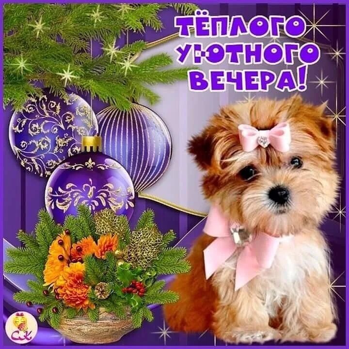 Картинки доброго вечера с ребенком С праздником главным зимы! В глазах пусть сияют огни, Пусть в сердце живёт лишь 