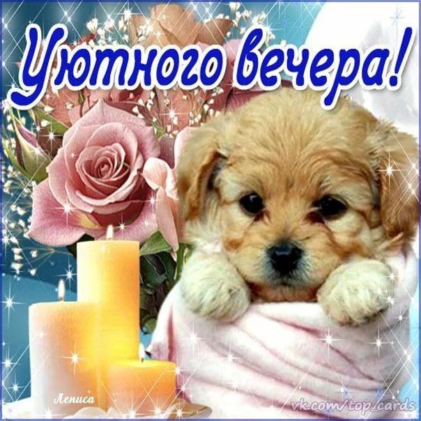 Картинки доброго вечера с ребенком Ошибка 429 Animals, Places to visit, Dogs