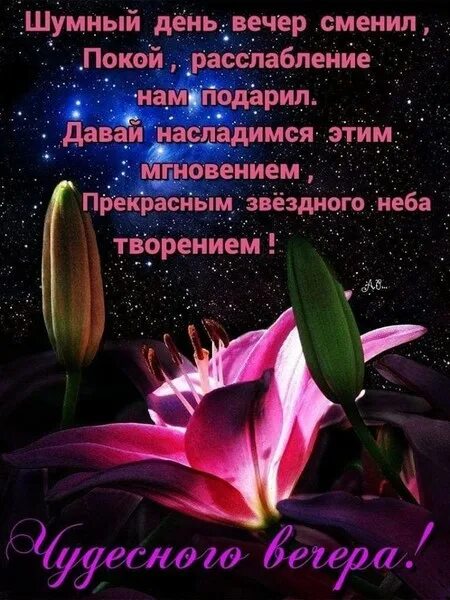 Картинки доброго вечера умные умные Лето плавно переходит в осень,завершая свой круговорот .... - БЛОГ Нели Сабитово