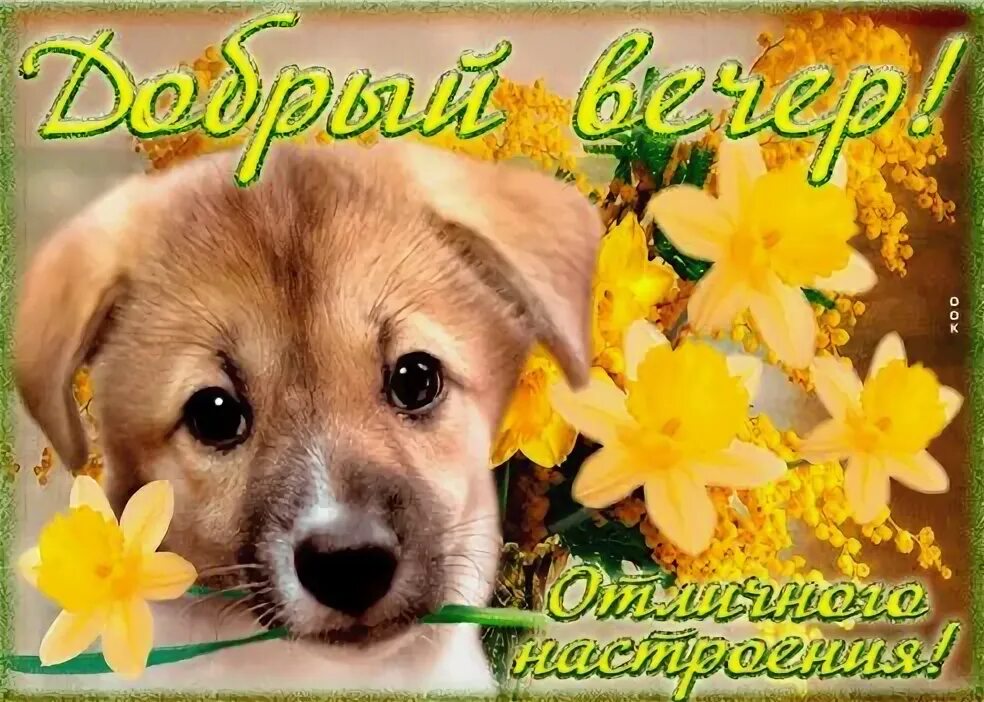 Картинки доброго вечера весенние позитивные красивые Привет,друзья! Мы рады Вас видеть! OK.RU