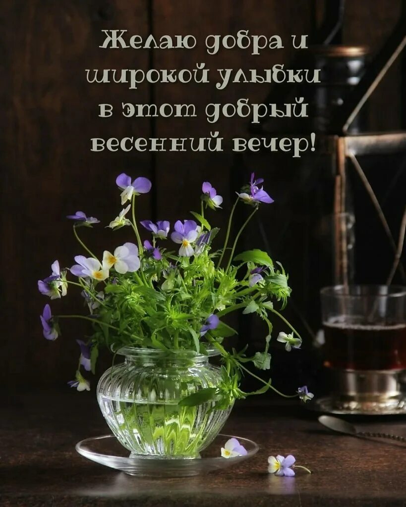 Картинки доброго вечера весенние позитивные красивые ПРИВЕТСТВИЯ и ПОЖЕЛАНИЯ, открытки на каждый день. опубликовал пост от 27 марта 2