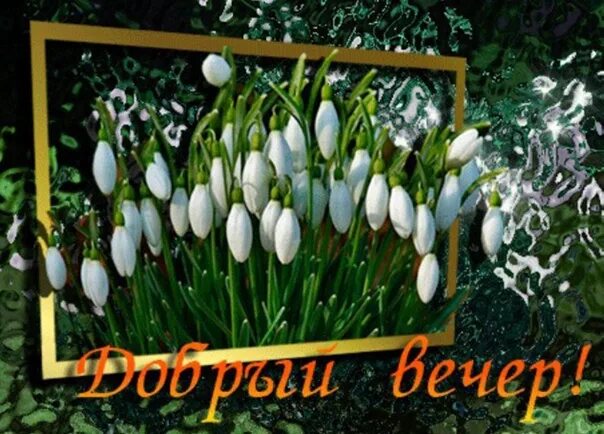 Картинки доброго вечера весенние позитивные красивые Благодарю Судьбу За всё на Свете! За Радости, печаль, Весенний ветер,.. 2017 Рас