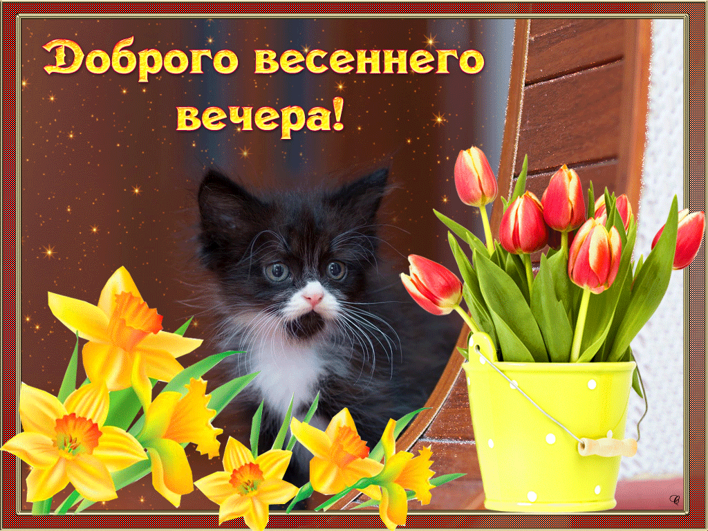 Картинки доброго вечера весенние позитивные красивые Квартира 57/33. Не свинская ни разу. - Оффтопик - Страница 587 (id темы 65112) -