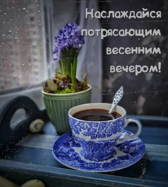 Картинки доброго вечера весенние позитивные красивые ВСЕМ - ВСЕМ... - Просто ДОБРОЕ УТРО , пользователь Надежда Прудникова Группы Мой
