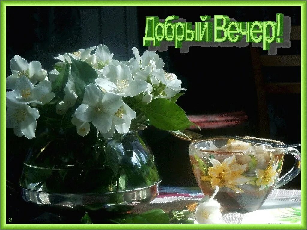 Картинки доброго весеннего вечера скачать бесплатно ПРИВЕТСТВИЯ и ПОЖЕЛАНИЯ, открытки на каждый день. - 26 мая 2024 в 17:55