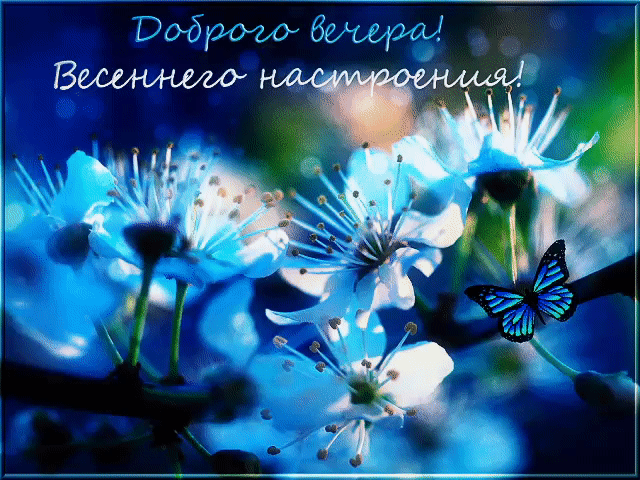 Картинки доброго весеннего вечера скачать бесплатно Pin on ВЕЧЕР in 2024 Plants, Garden