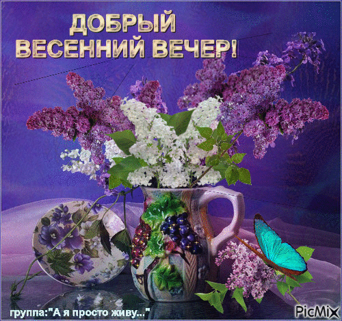 Картинки доброго весеннего вечера скачать бесплатно Весенний вечер - Free animated GIF - PicMix
