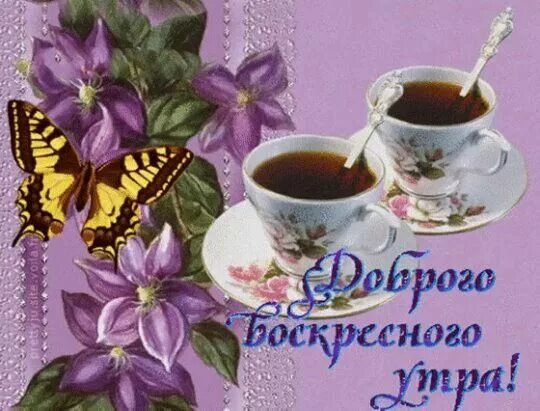 Картинки доброго воскресного утра красивые мерцающие Pin by лариса начинкина on доброе утро Tableware, Glassware, Tea cups