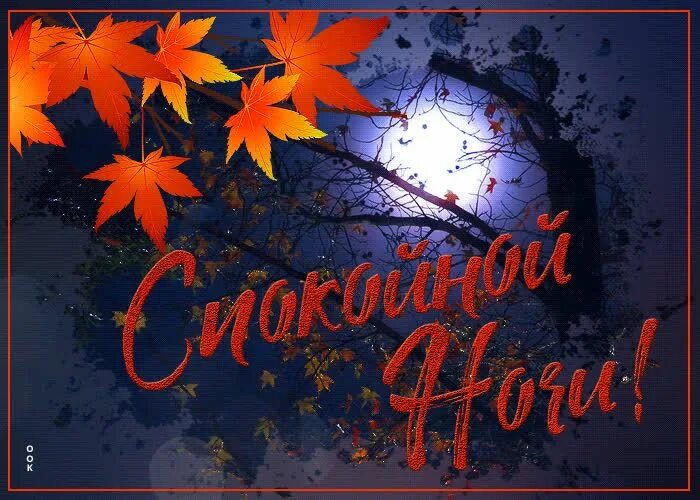 Картинки доброй ночи и вечера октября ▶ Открытки "Спокойной Ночи", Картинки "Спокойной Ночи"- Скачать бесплатно на otk