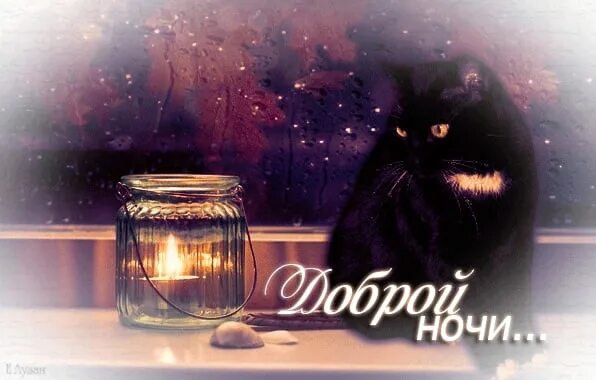 Картинки доброй ночи и вечера октября Спокойной ночи! #Типичный_Отрадный 2022 Типичный Отрадный ВКонтакте