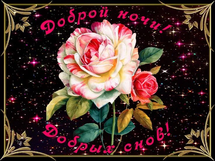 Картинки доброй ночи красивые мерцающие с пожеланиями Gifok.ru Ночь, Открытки, Спокойной ночи