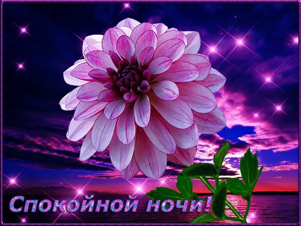 Картинки доброй ночи красивые мерцающие с пожеланиями Пин на доске Доброе утро Спокойной ночи Спокойной ночи, Ночь, Картинки