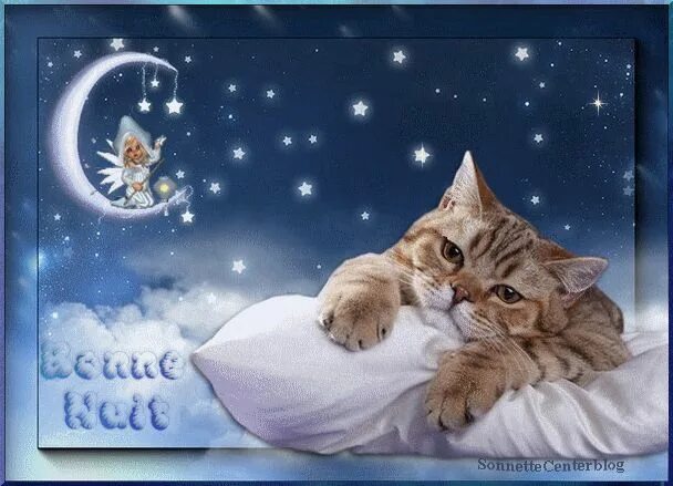 Картинки доброй ночи с животными новые gifs animés Buonanotte, Auguri di buona notte, Gif divertenti