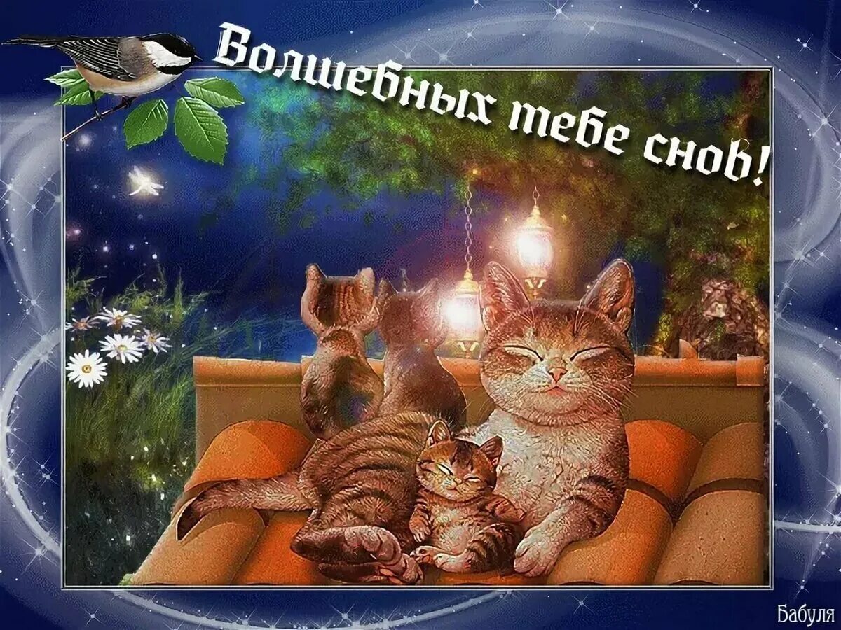 Картинки доброй ночи утра и вечера Спокойной летней ночи сладких снов картинки: найдено 90 изображений