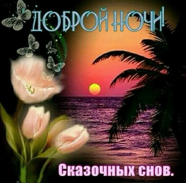 Картинки доброй ночи утра и вечера Красивые открытки с надписями: Добрый вечер!, Доброй ночи!, Спокойной ночи! - Ст