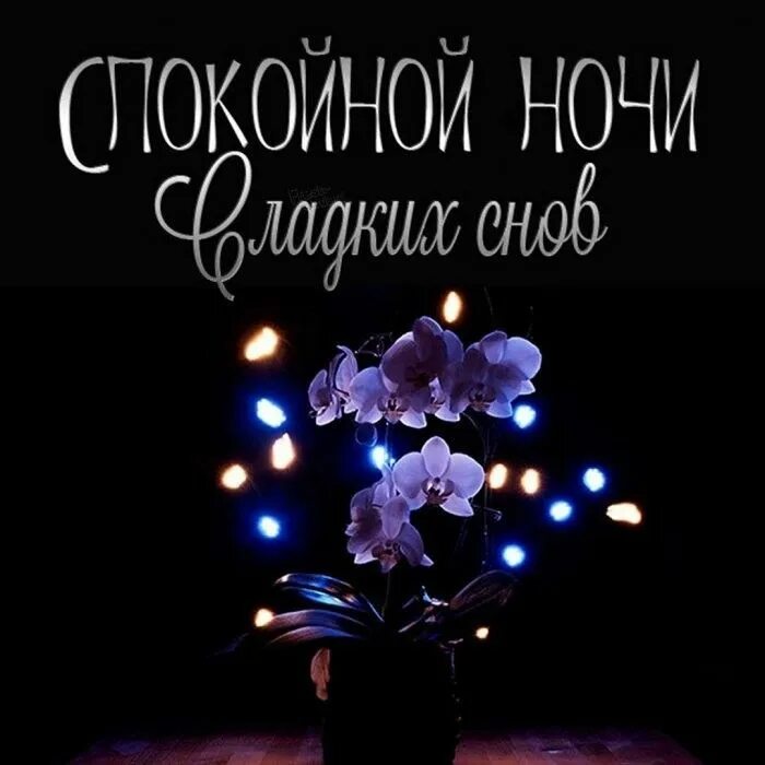 Картинки доброй ночи женщине позитивные необычные Pin by Мария Рогина on night Calm artwork, Night, Good night
